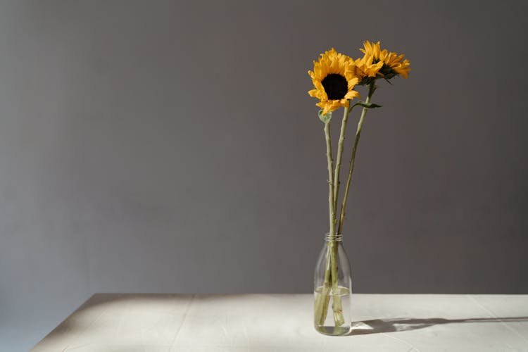 Yellow Sunflower In Clear Glass Vase