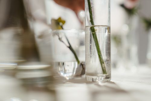 Free A close-up of stems in a slender glass vase filled with water, showcasing modern floral arrangement. Stock Photo