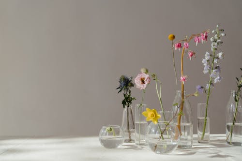 Free Photo of Flowers in Glass Vase With Water Stock Photo