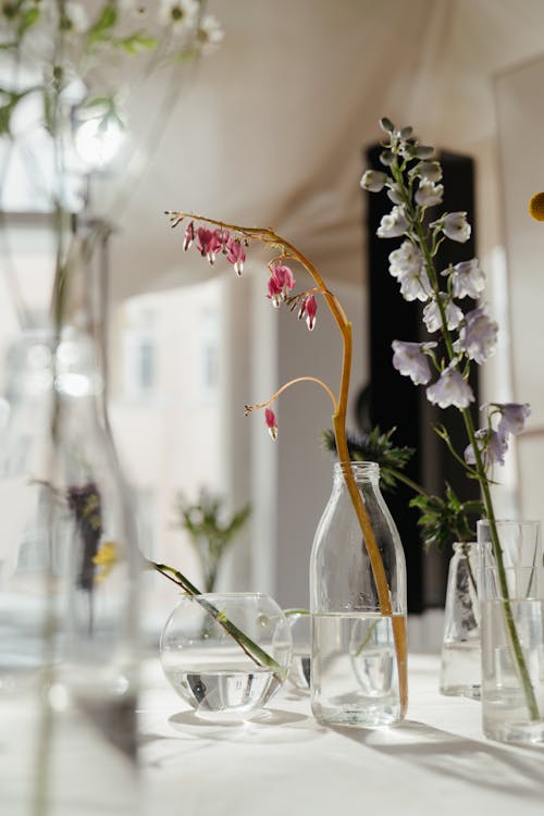 Photo of Flowers in Clear Glass Vase With Water