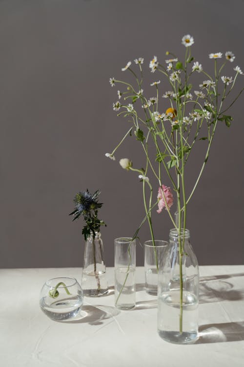 Photo of Flowers in Glass Vase With Water