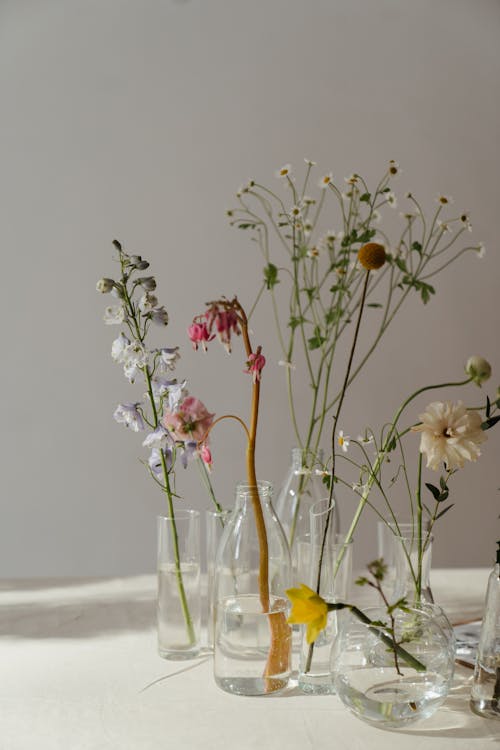 Photo of Flowers in Glass Vase With Water