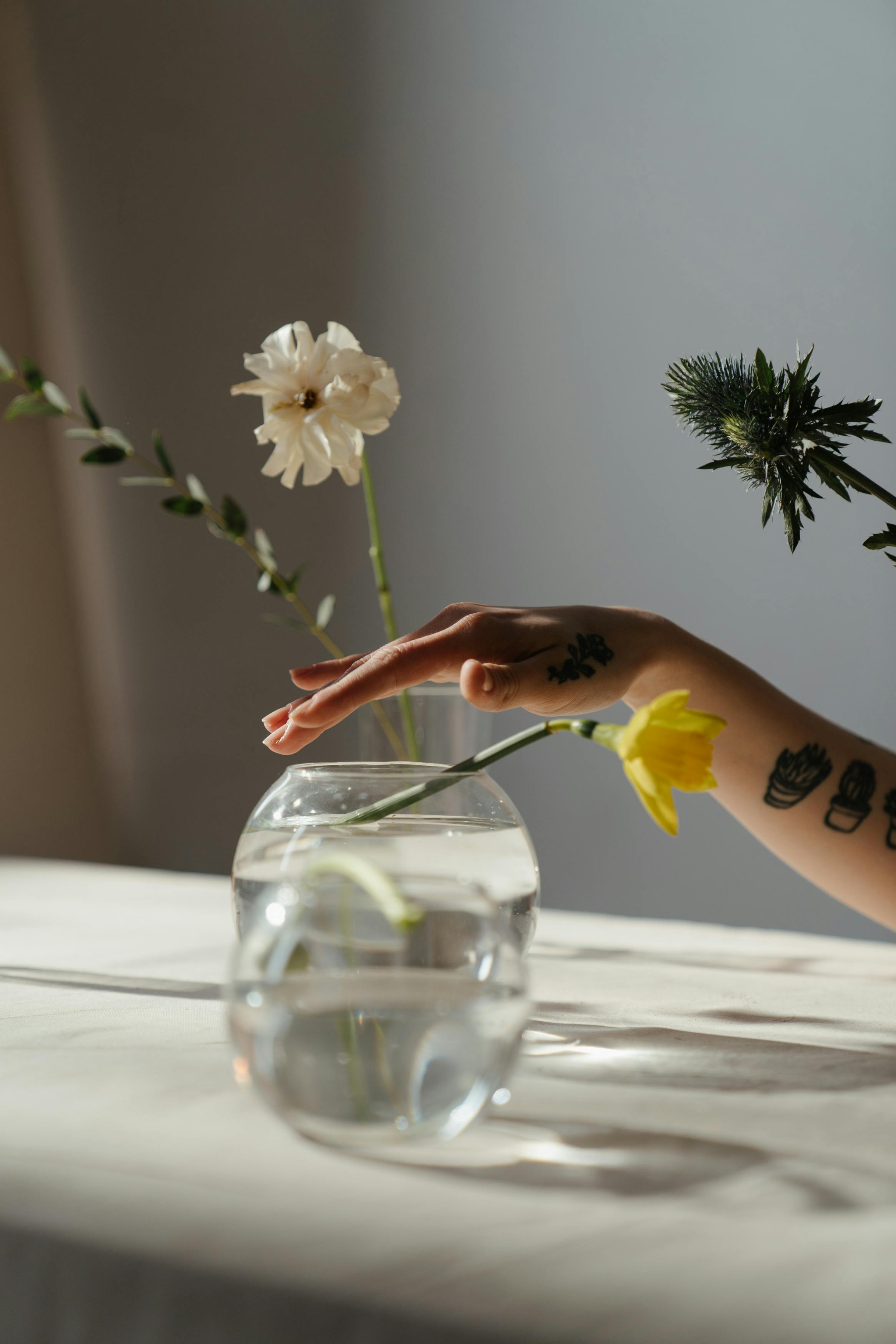 White Flowers in Clear Glass Vase · Free Stock Photo