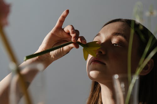 Fotobanka s bezplatnými fotkami na tému aróma, aromatický, čuchať