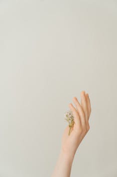 这是一张极简主义图像，一只手拿着一朵小花，背景柔软