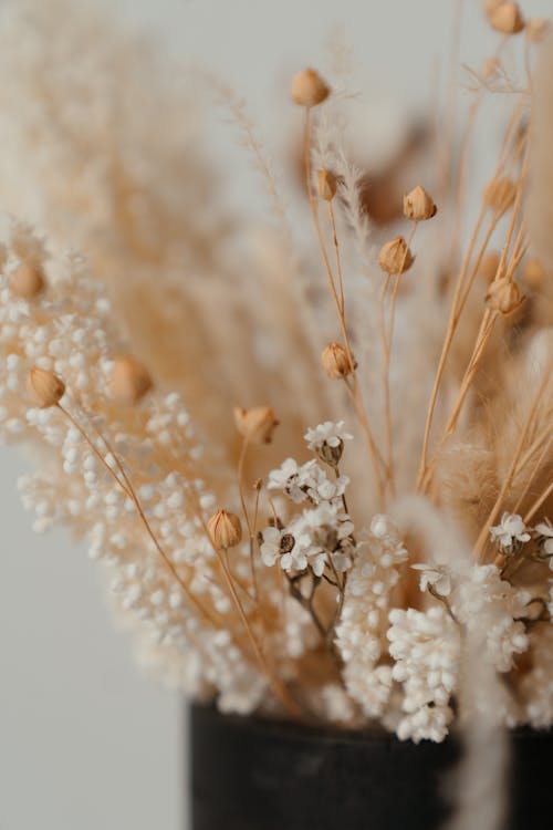 White Flowers in Close Up Photography