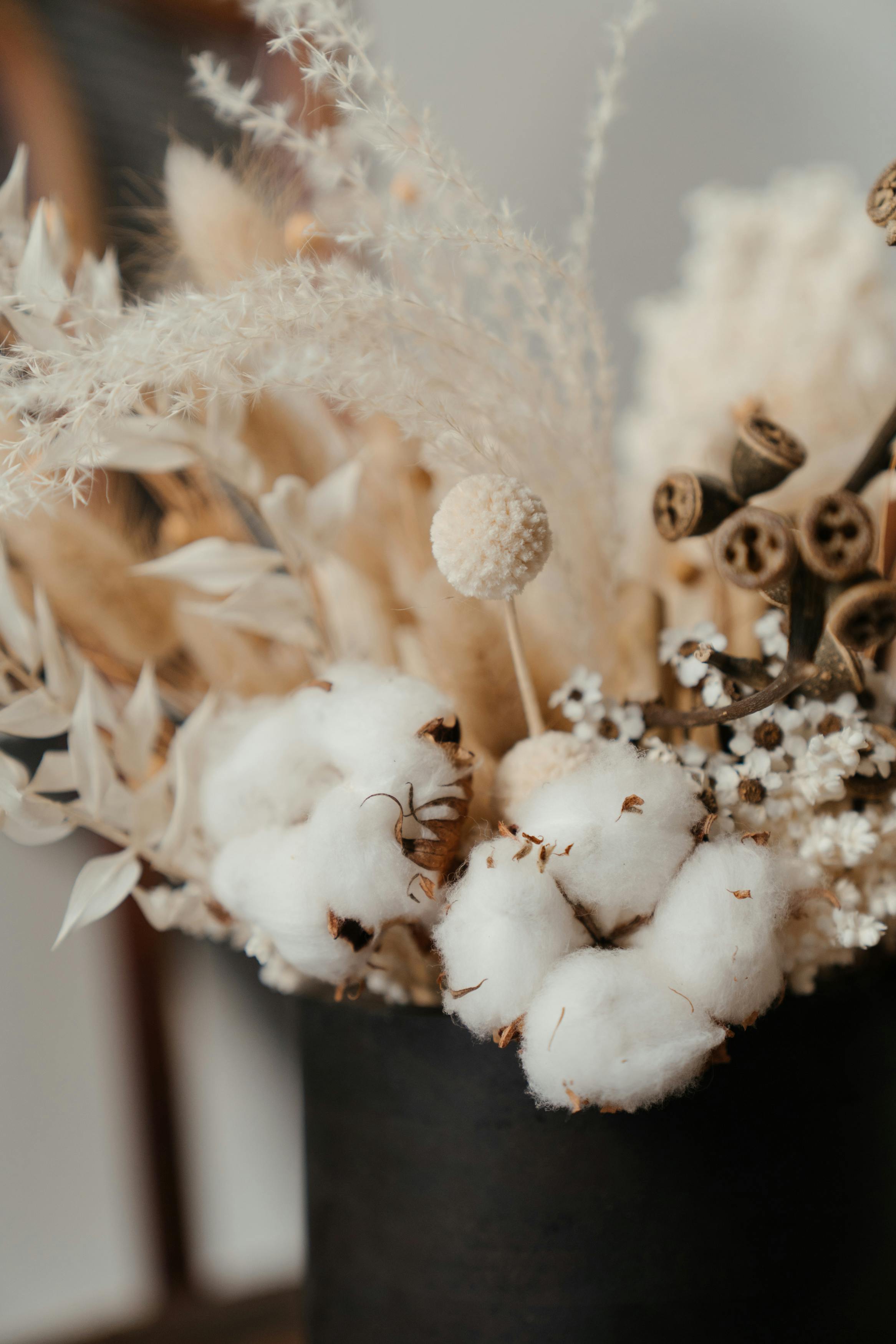 A close up of some dried plants with some white flowers · Free Stock Photo