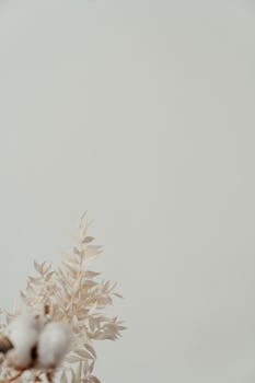 A serene minimalist display of dried flowers and cotton with ample negative space.