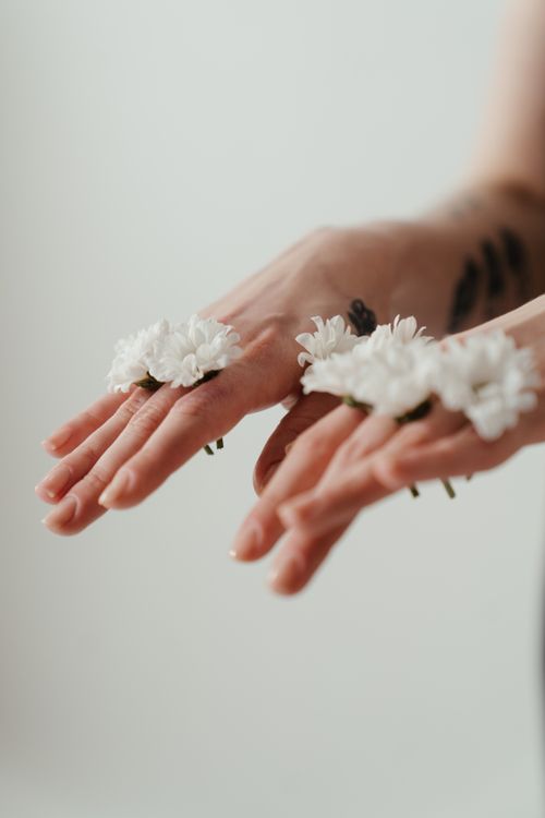 Free A minimalist photo of hands with white chrysanthemums on fingers, offering an artistic and gentle floral vibe. Stock Photo