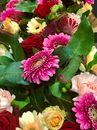 玫瑰、非洲菊与绿叶植物色彩缤纷地排列，呈现出充满活力的花卉展示