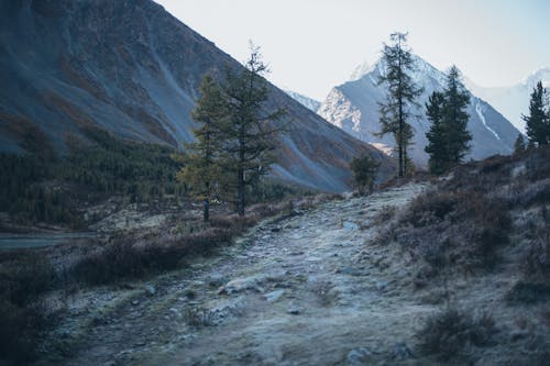 Foto profissional grátis de caminho, cênico, montanha