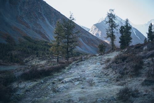 Kostenloses Stock Foto zu berg, landschaft, landschaftlich