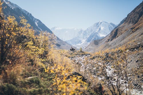 Foto profissional grátis de belukha, montanhas, natureza