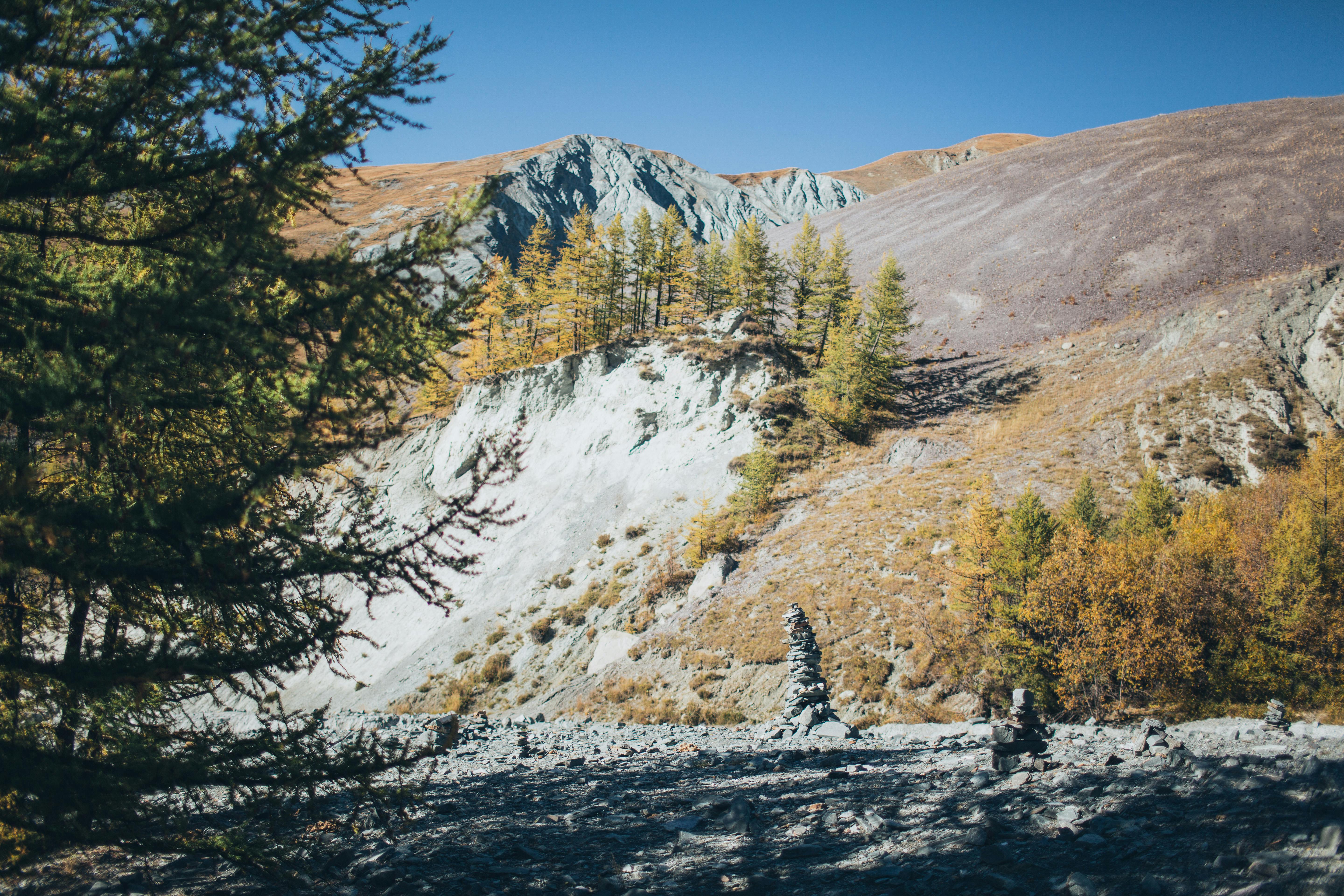 photo of mountain and trees