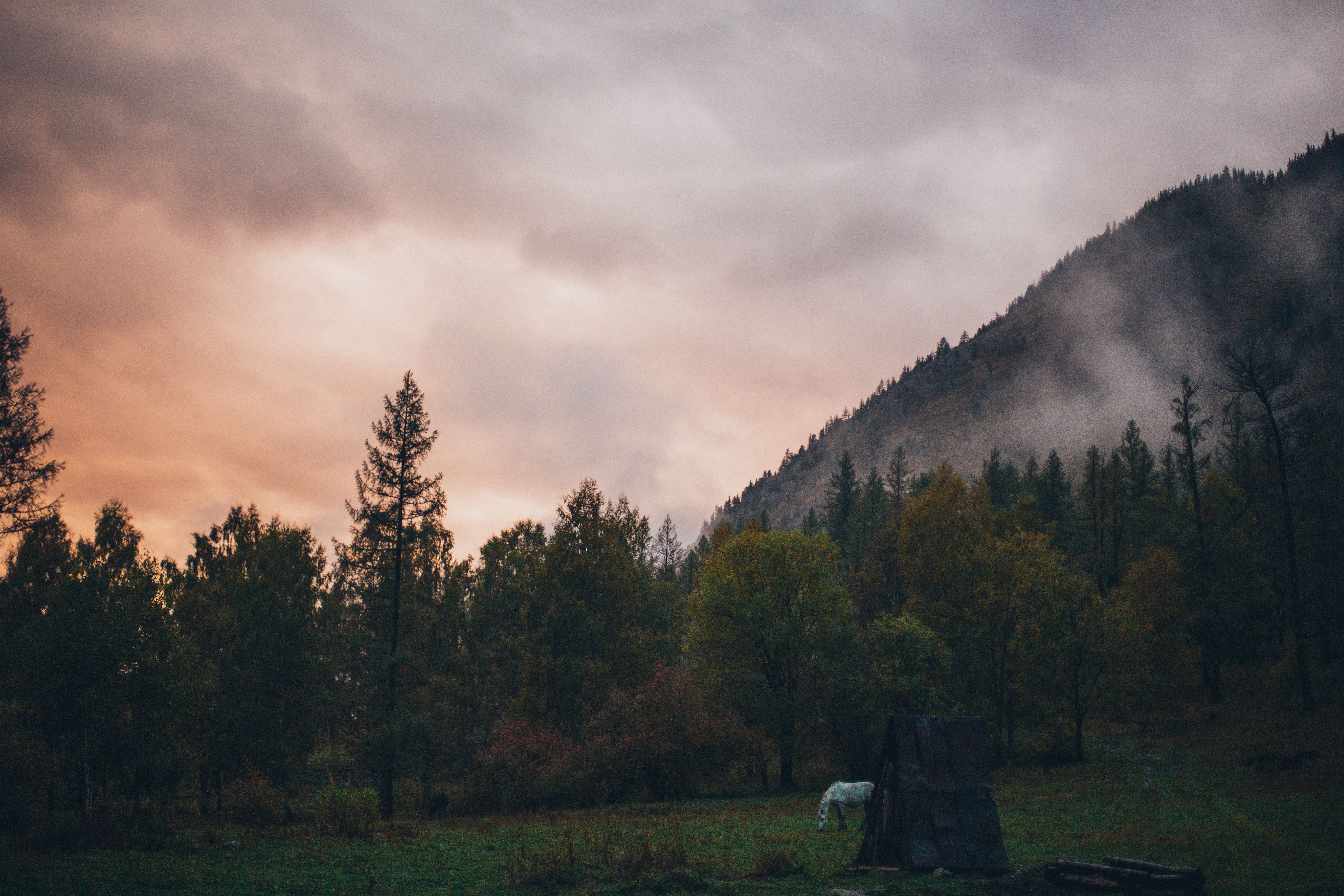 Green Trees Near Mountain Under Cloudy Sky · Free Stock Photo