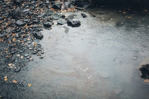 下雨, 地面, 多雨的 的 免费素材图片