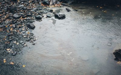 El Niño có thể khiến mùa thu ẩm ướt và ấm hơn bình thường