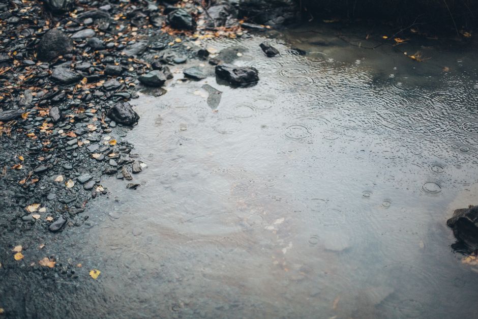 Rain Puddle on Ground · Free Stock Photo