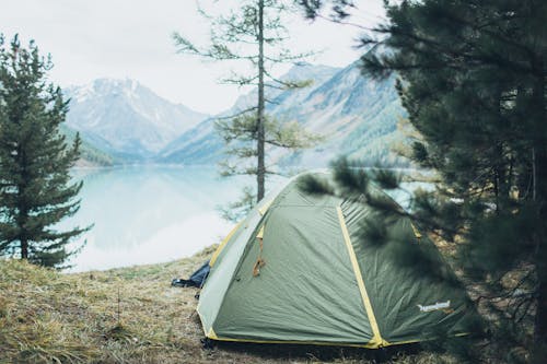 Fotos de stock gratuitas de acampada, al aire libre, arboles
