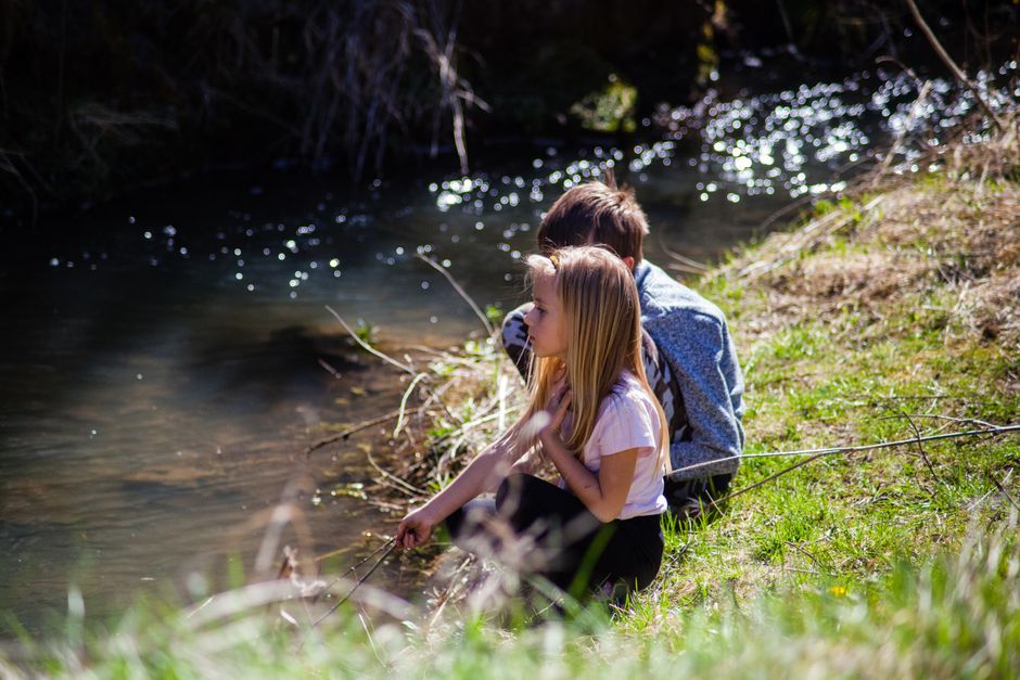 Kids Discovery Day at Botanic Garden