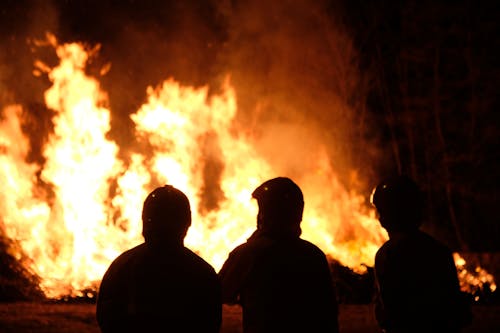 Free Silhouette of People Standing Near Bonfire Stock Photo