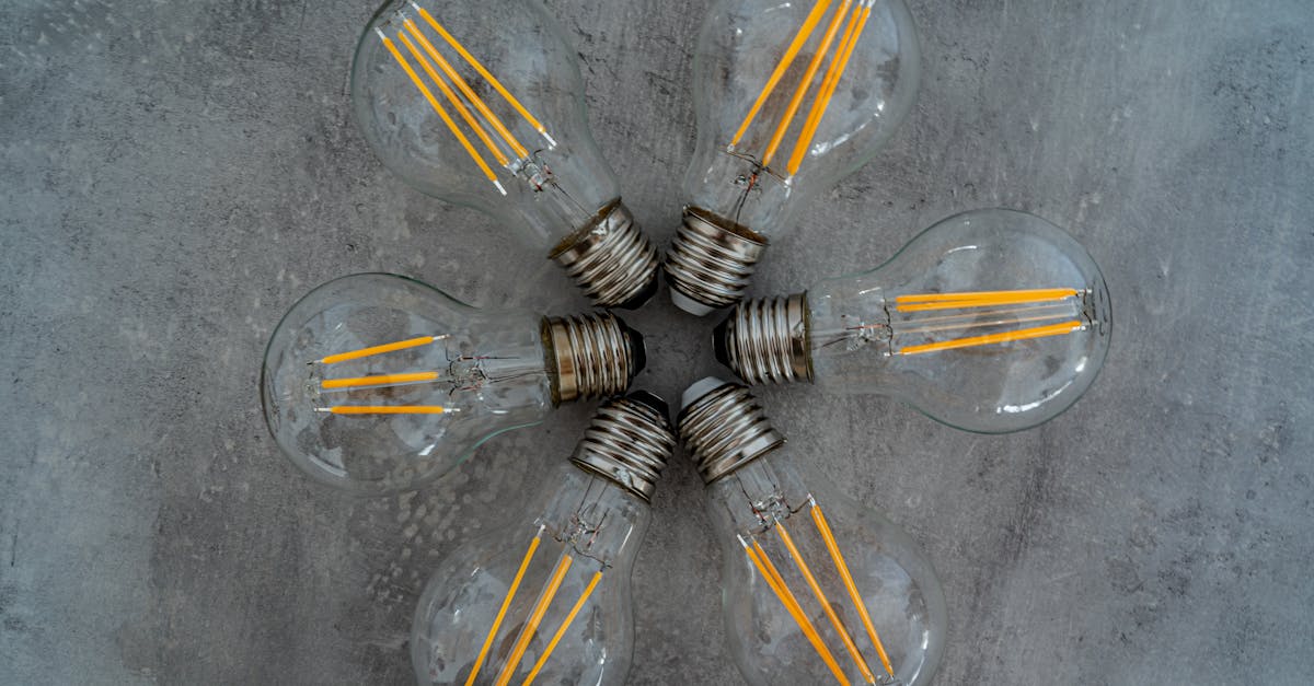 Navigating the World of Energy Efficient Light Bulbs