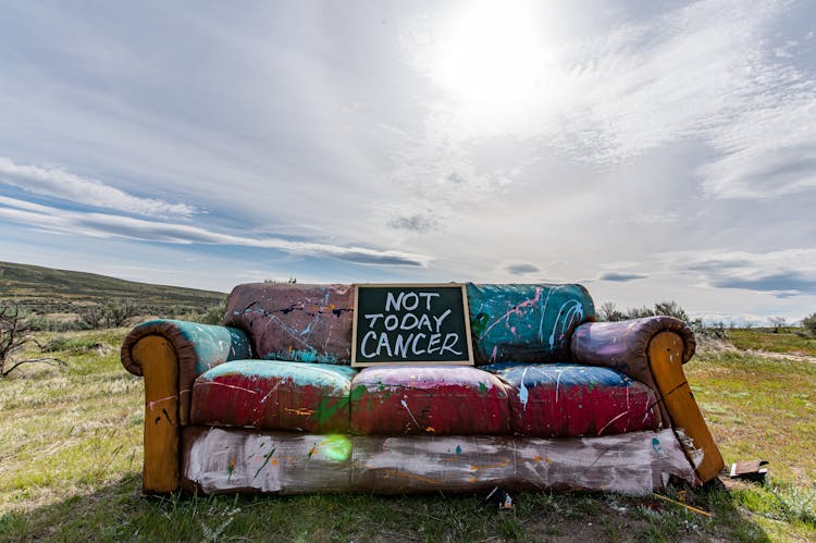 Shabby Couch With Motivational Signboard In Meadow