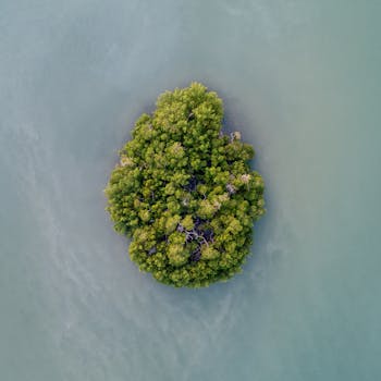 Drone shot capturing a small green island surrounded by serene, light blue waters from above.