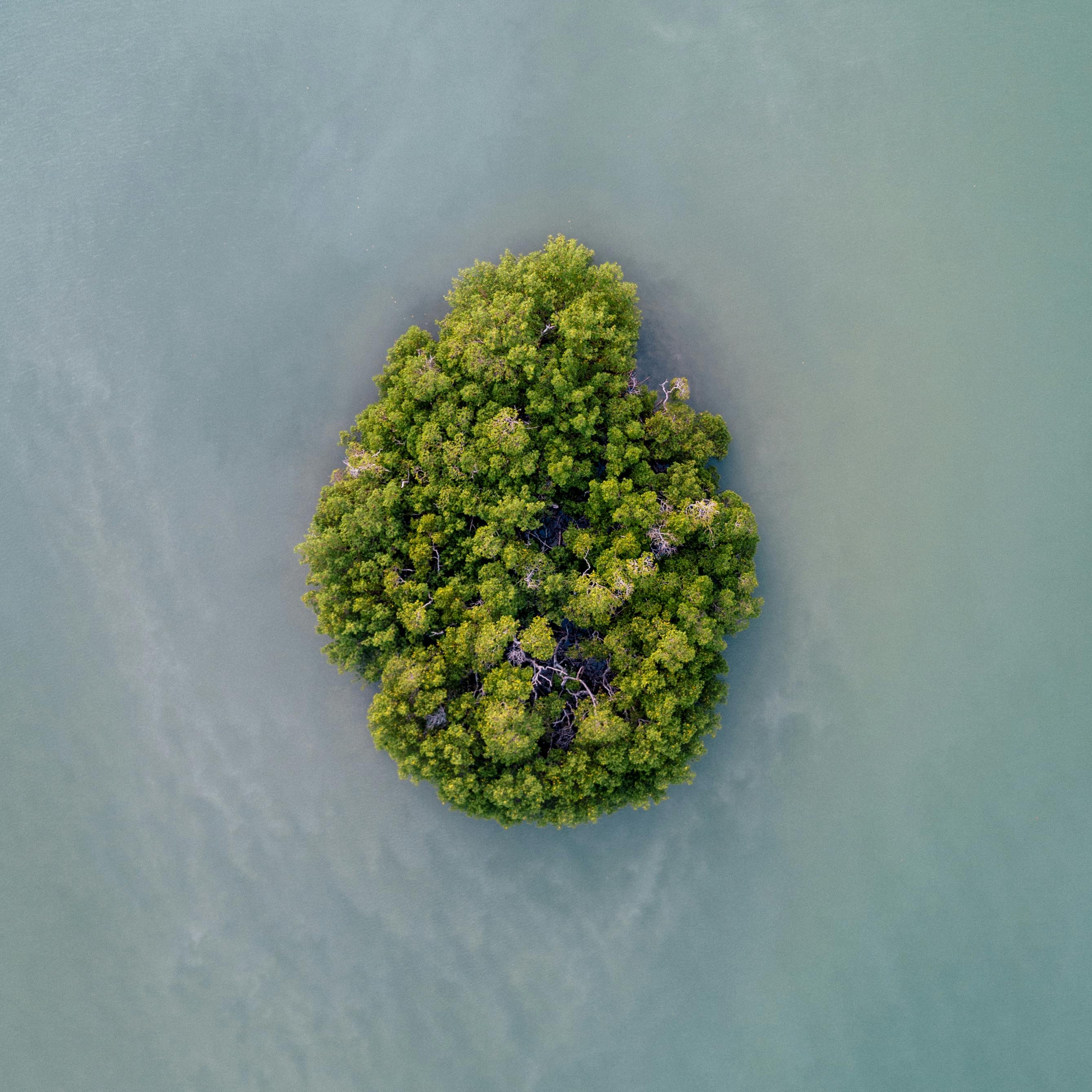 Aerial Photography of an Island Surrounded by Water · Free Stock Photo