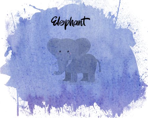 Free stock photo of animal, children, elephant Stock Photo