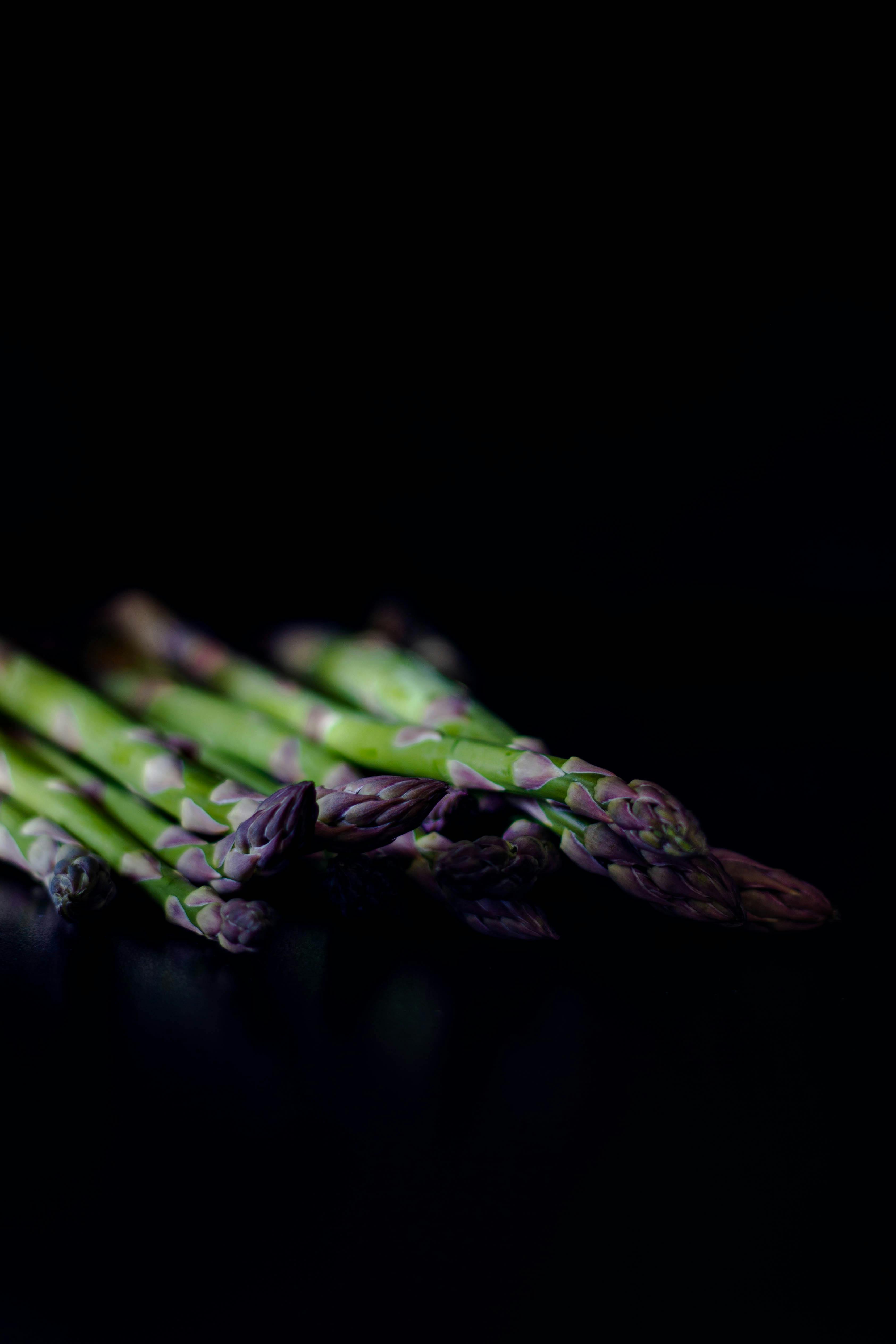 Free stock photo of asparagus, cook, eat