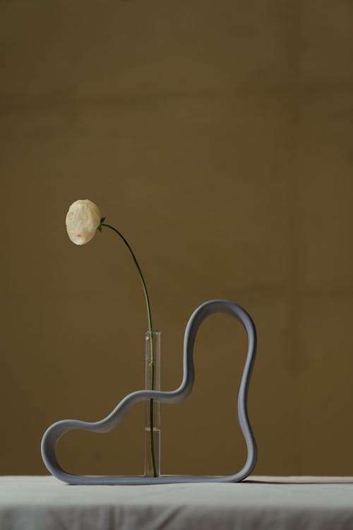 アバンギャルド, ガラス花瓶, デコレーションの無料の写真素材