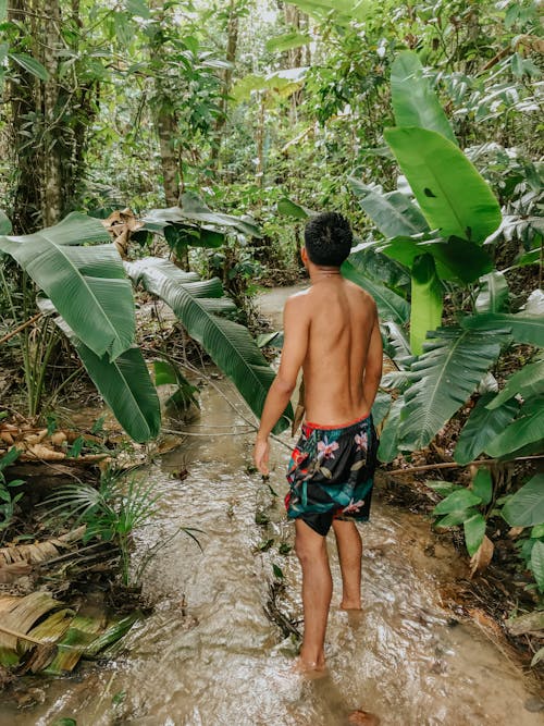 Man Standing In Stream in Jungle 