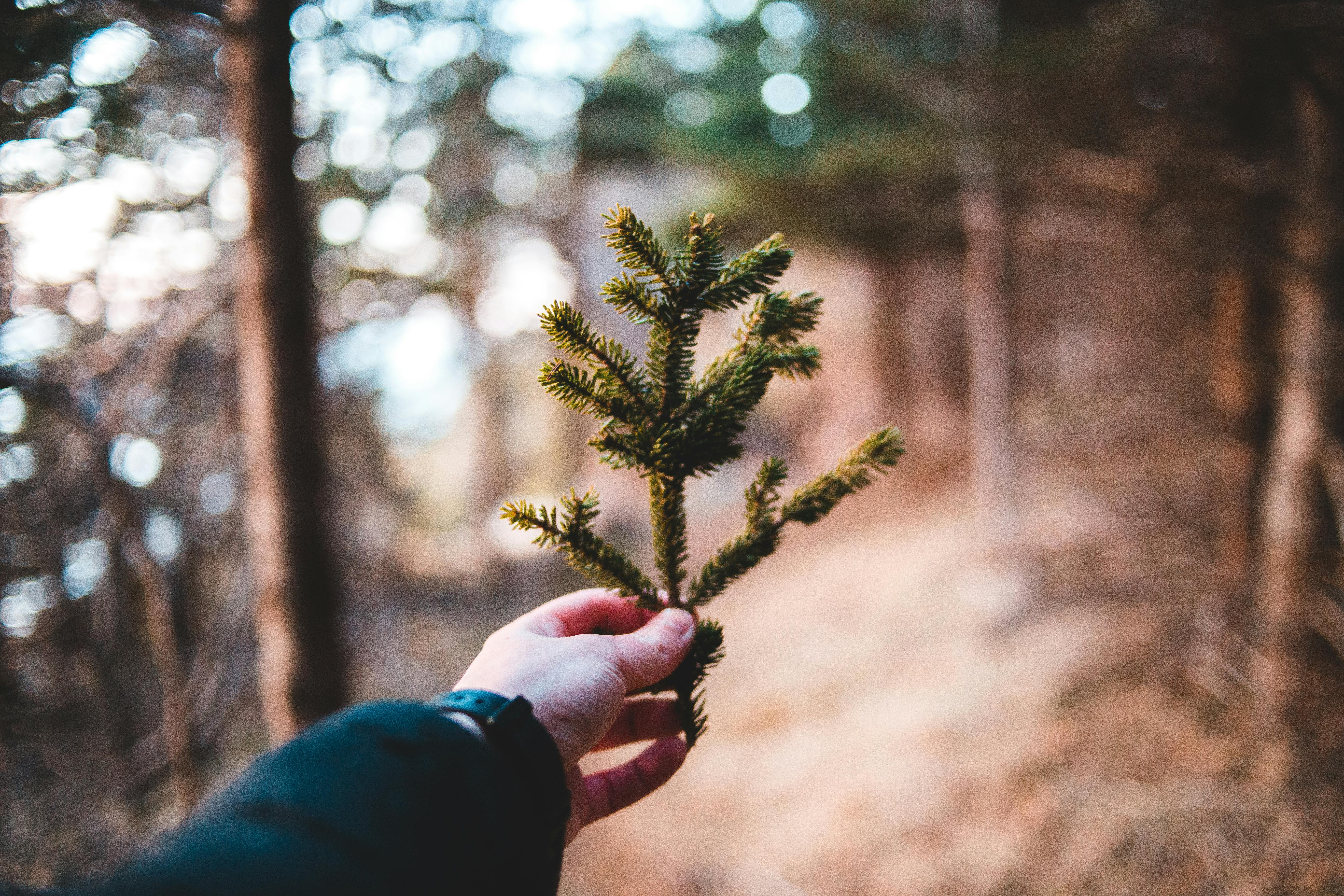 growth hacking Marketing & Growth — Photo by Erik Mclean on Pexels