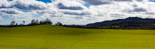 Immagine gratuita di campo d'erba