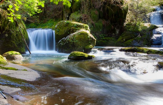 A tranquil forest scene with a cascading waterfall and moss-covered rocks.