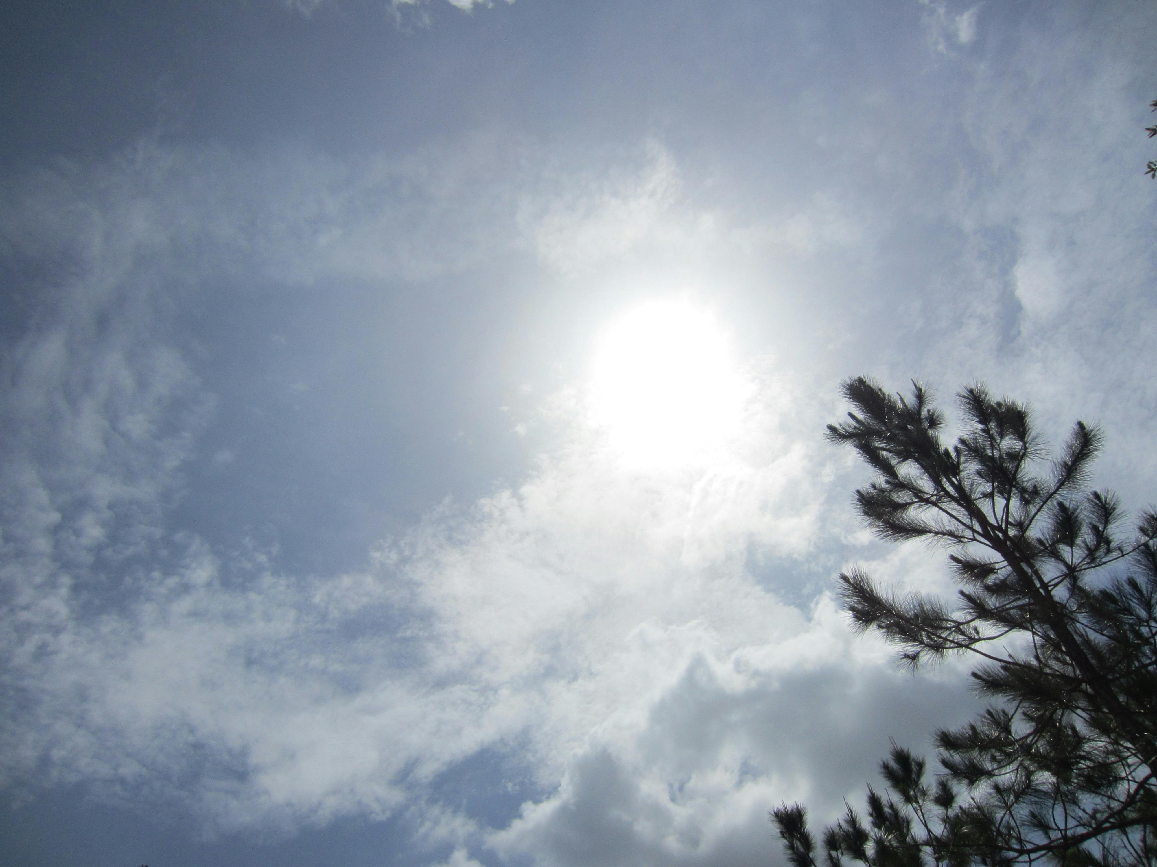 Free stock photo of bianco, blu, blue