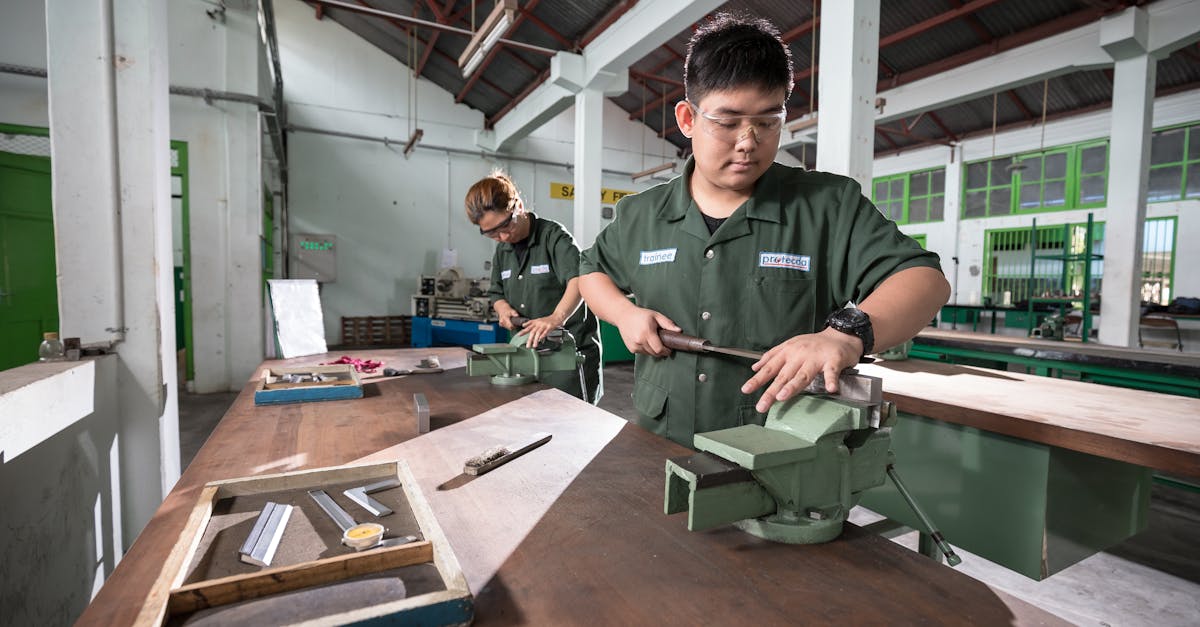 Tendances en herboristerie à suivre en 2026