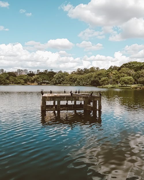 Foto stok gratis brasil, danau, platform kayu