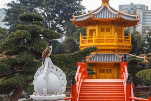 Bird Resting Near a Pagoda Structure i