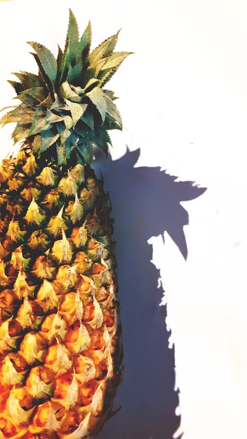 Gratis lagerfoto af ananas, ananas krone, blomsterkrone