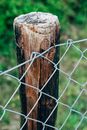 Close-Up Photo of a Wooden Pole with Metal Fence