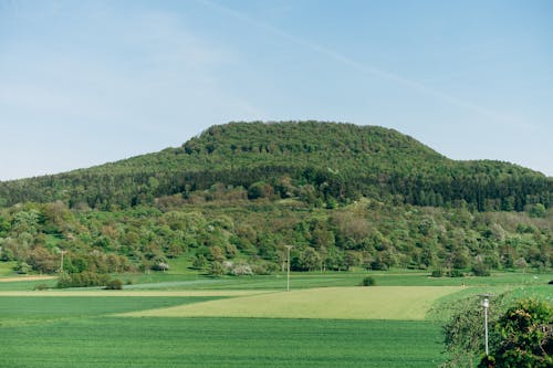 Gratis stockfoto met akkerland, groen veld, groene berg Stockfoto
