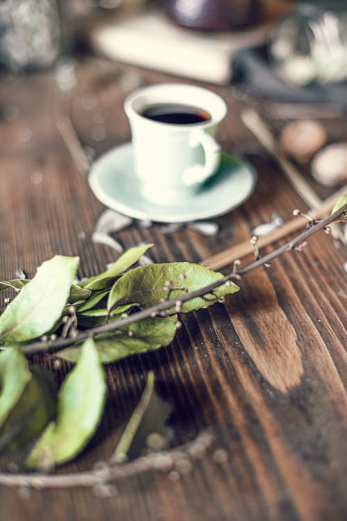 Free Coffee cup and dried plant leaves arranged on wooden table Stock Photo
