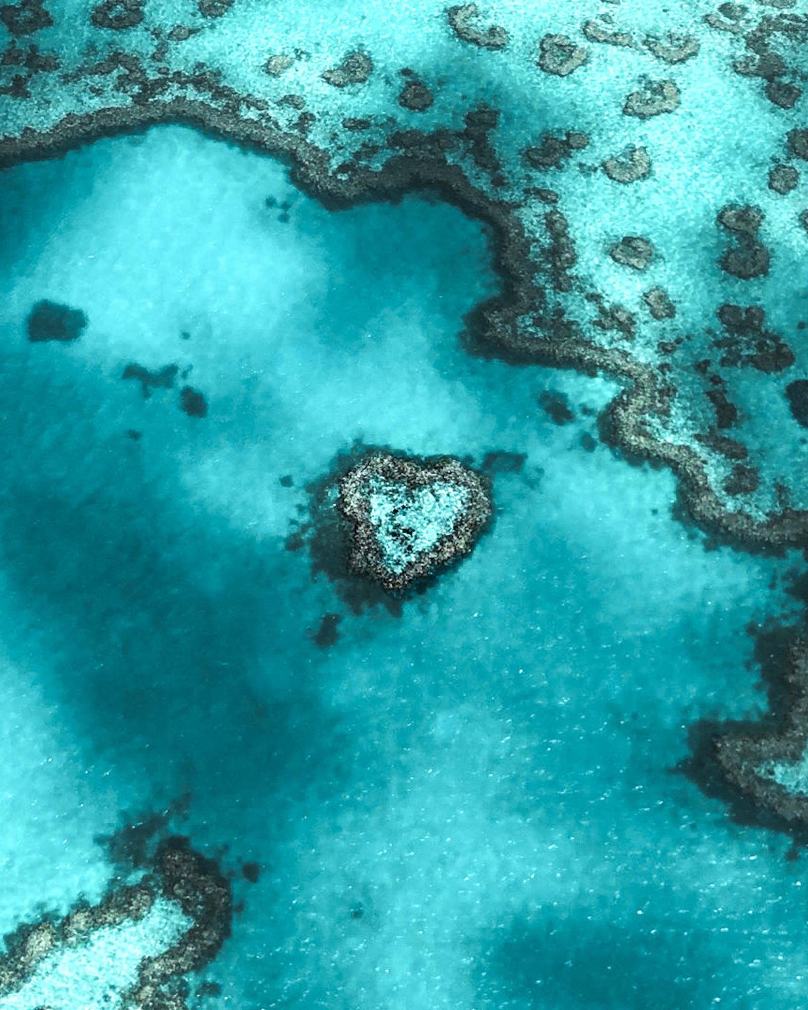 Aerial view of Heart Reef's heart-shaped coral formation in clear turquoise water on the Great Barrier Reef