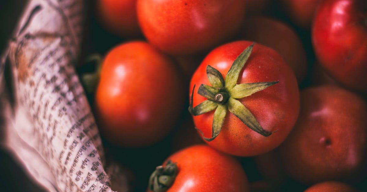 Why are my cherry tomatoes splitting open