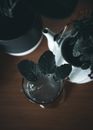 From above of ceramic teapot and flower pot placed on wooden table near glass of water with dark green leaves