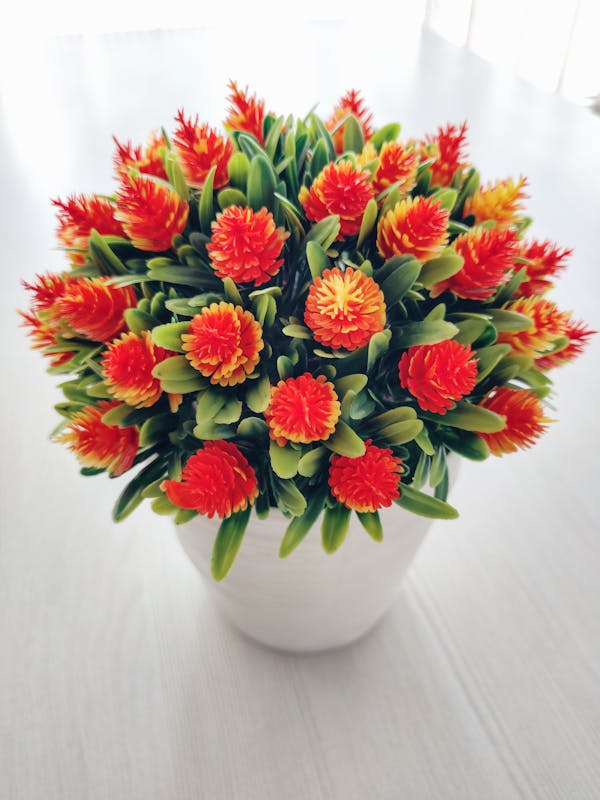 Maniquí infantil con ropa elegante