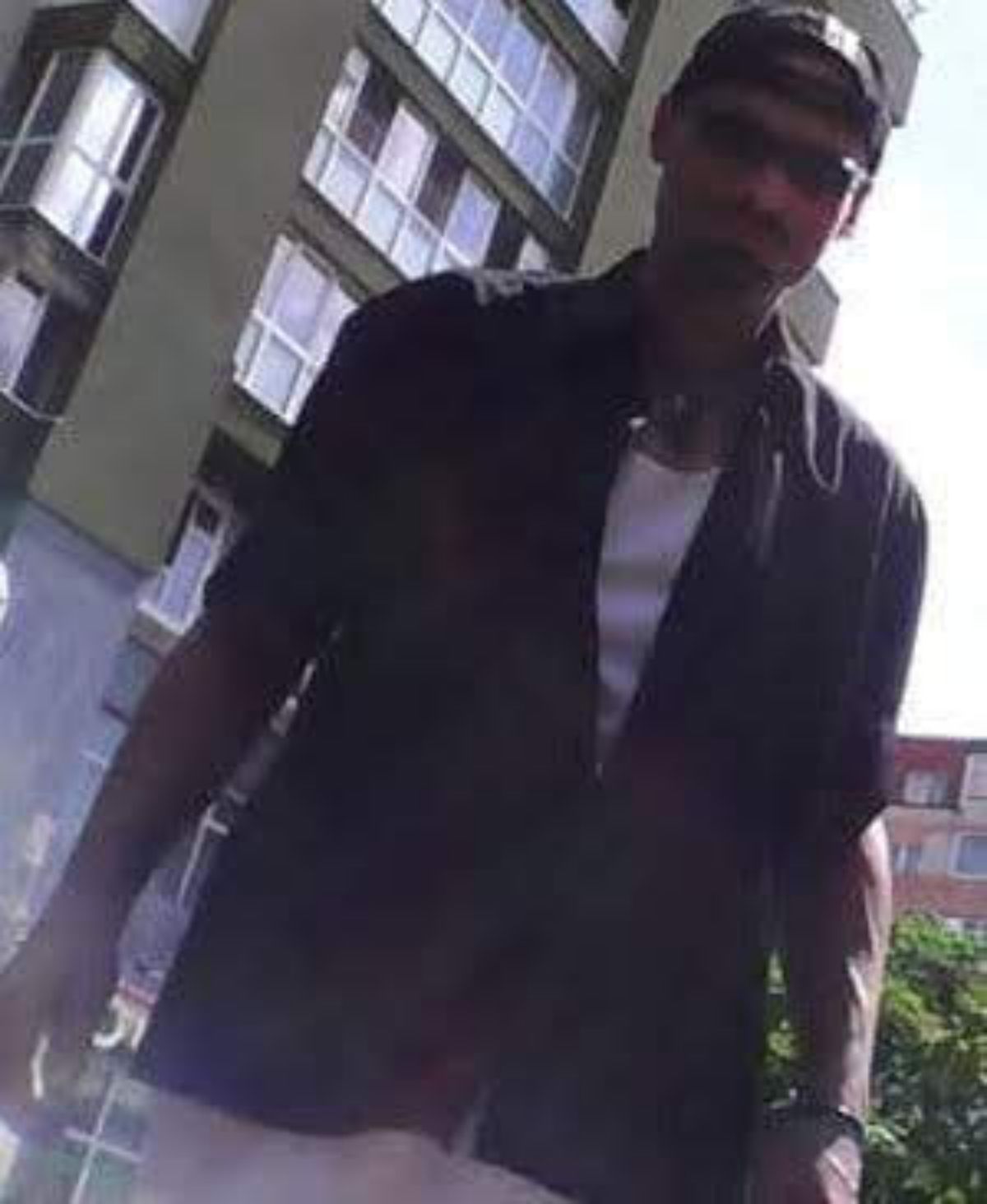 Dental Health for Pets on Homemade Wet Food: Preventing Tartar Build-Up