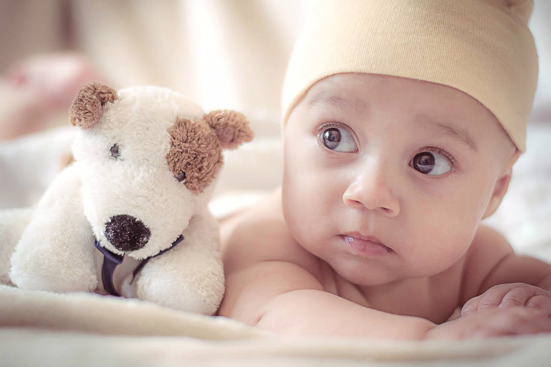 een miljard Zuivelproducten Alfabet Baby Liggend In De Buurt Van Hond Knuffel · Gratis stockfoto